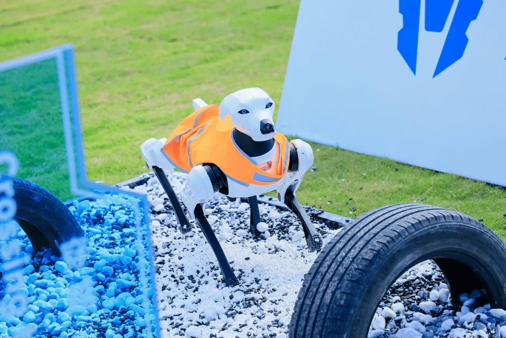Argos realizando pruebas sobre terreno irregular.